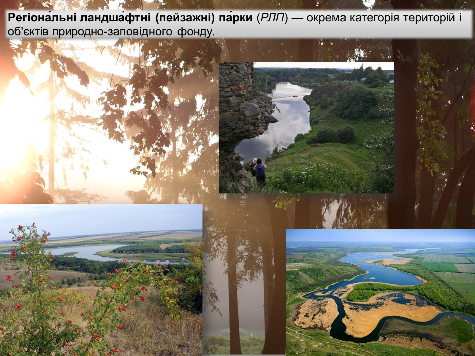 Презентація на тему «Ландшафтні парки України» (варіант 1) - Слайд #2