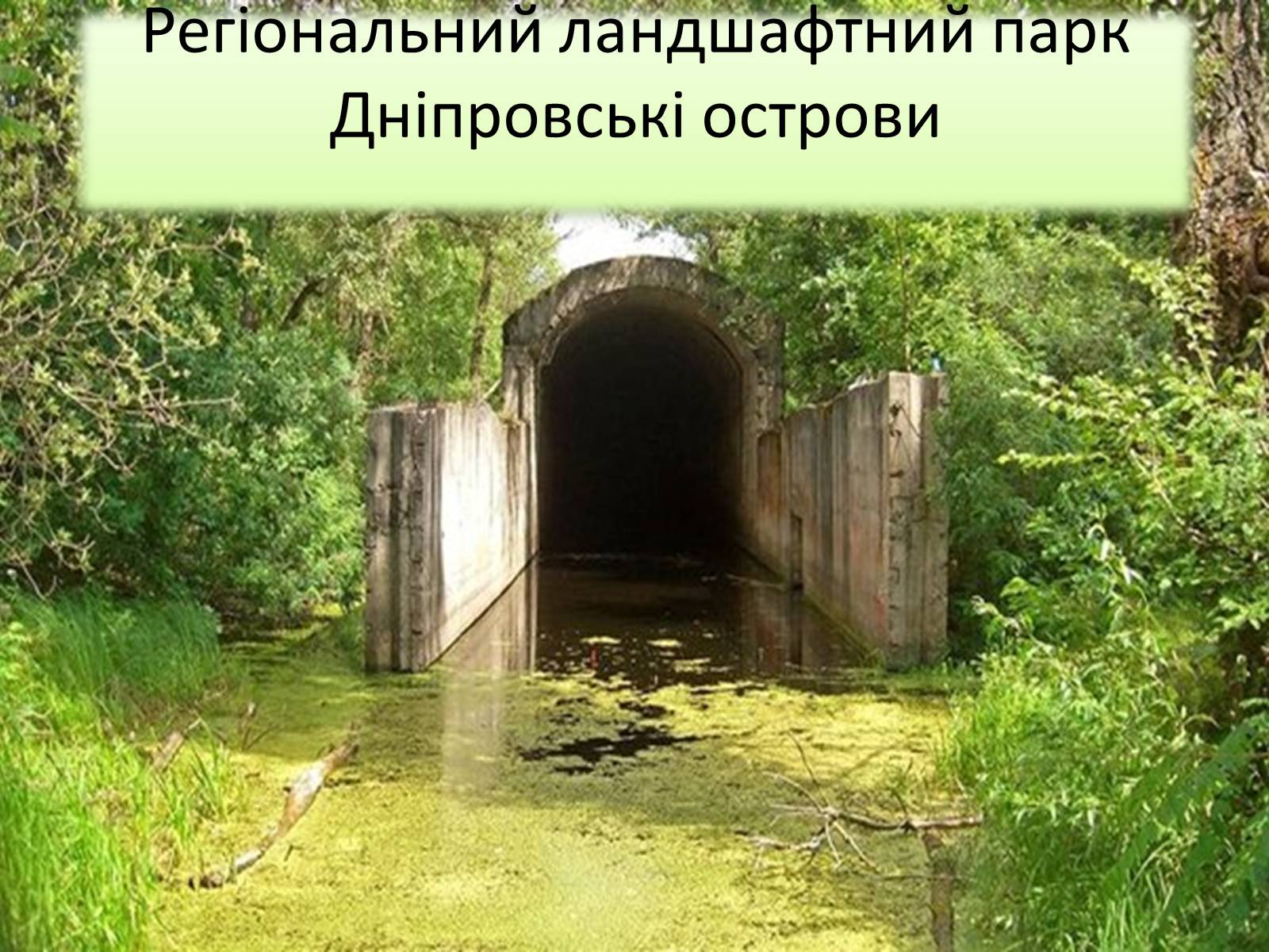 Презентація на тему «Ландшафтні парки України» (варіант 1) - Слайд #4