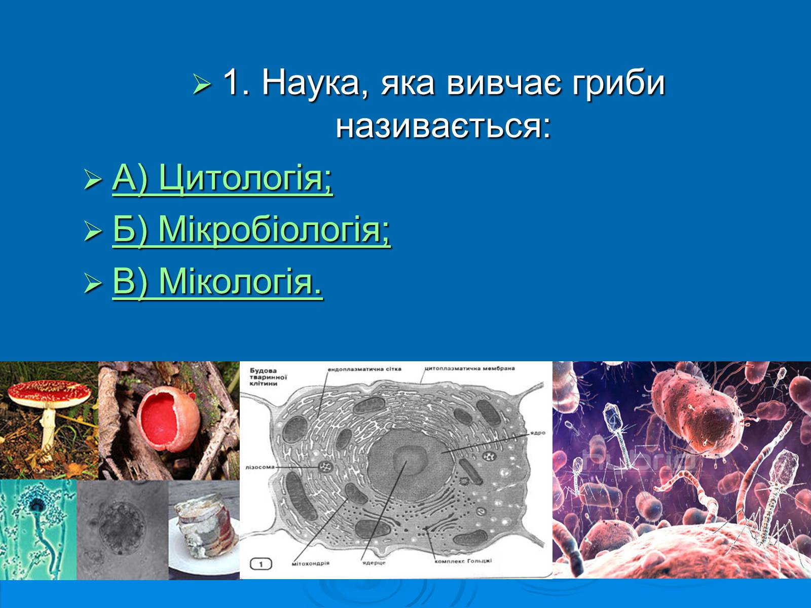 Презентація на тему «Біологія» (варіант 3) - Слайд #2