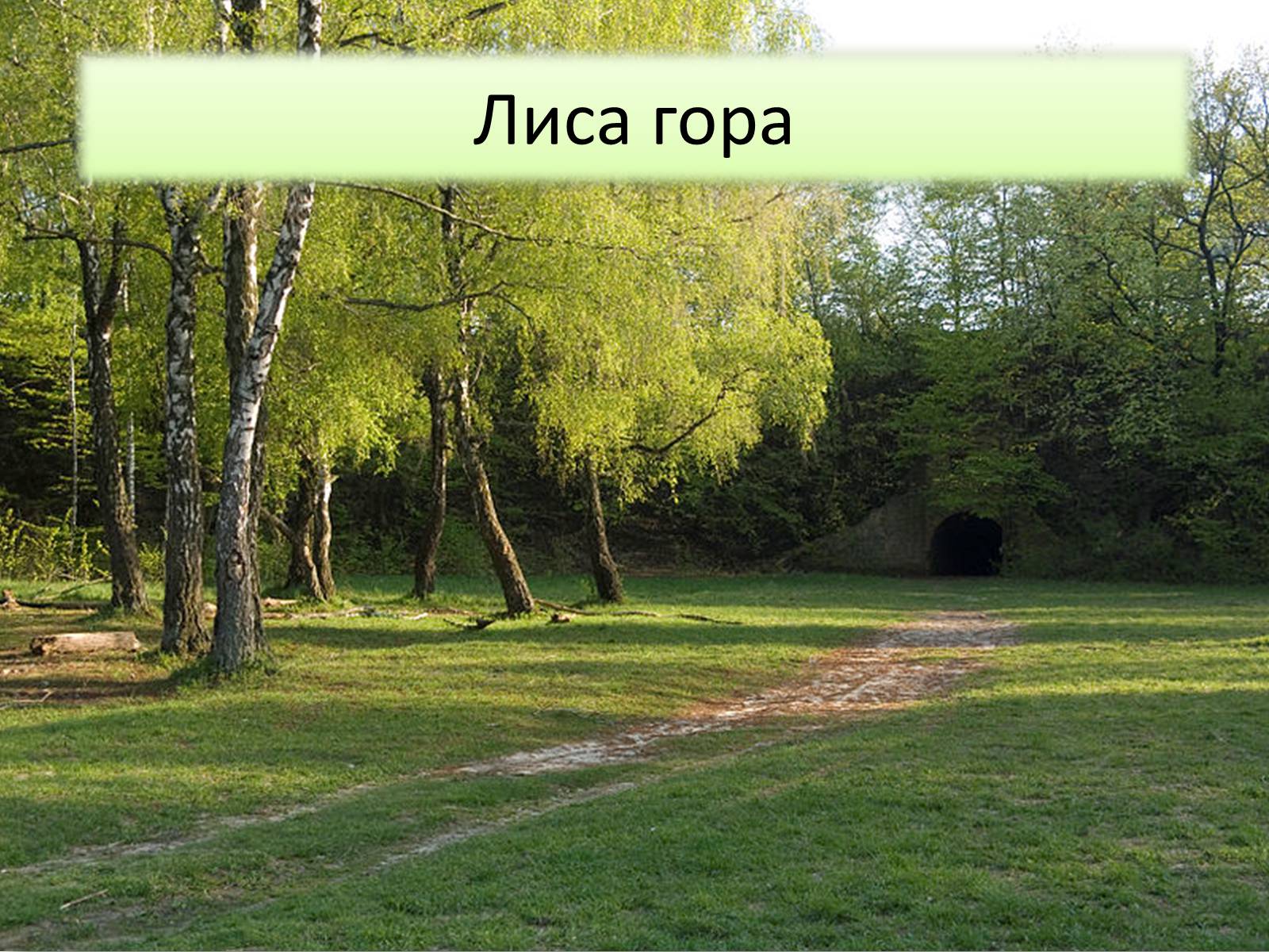 Презентація на тему «Ландшафтні парки України» (варіант 1) - Слайд #8