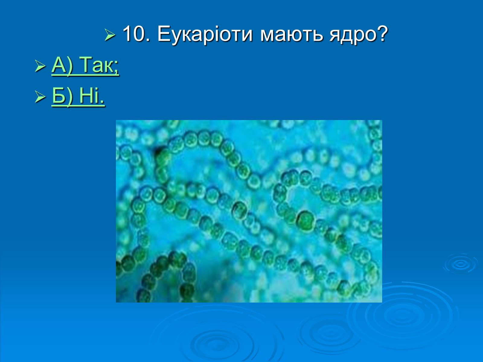 Презентація на тему «Біологія» (варіант 3) - Слайд #11