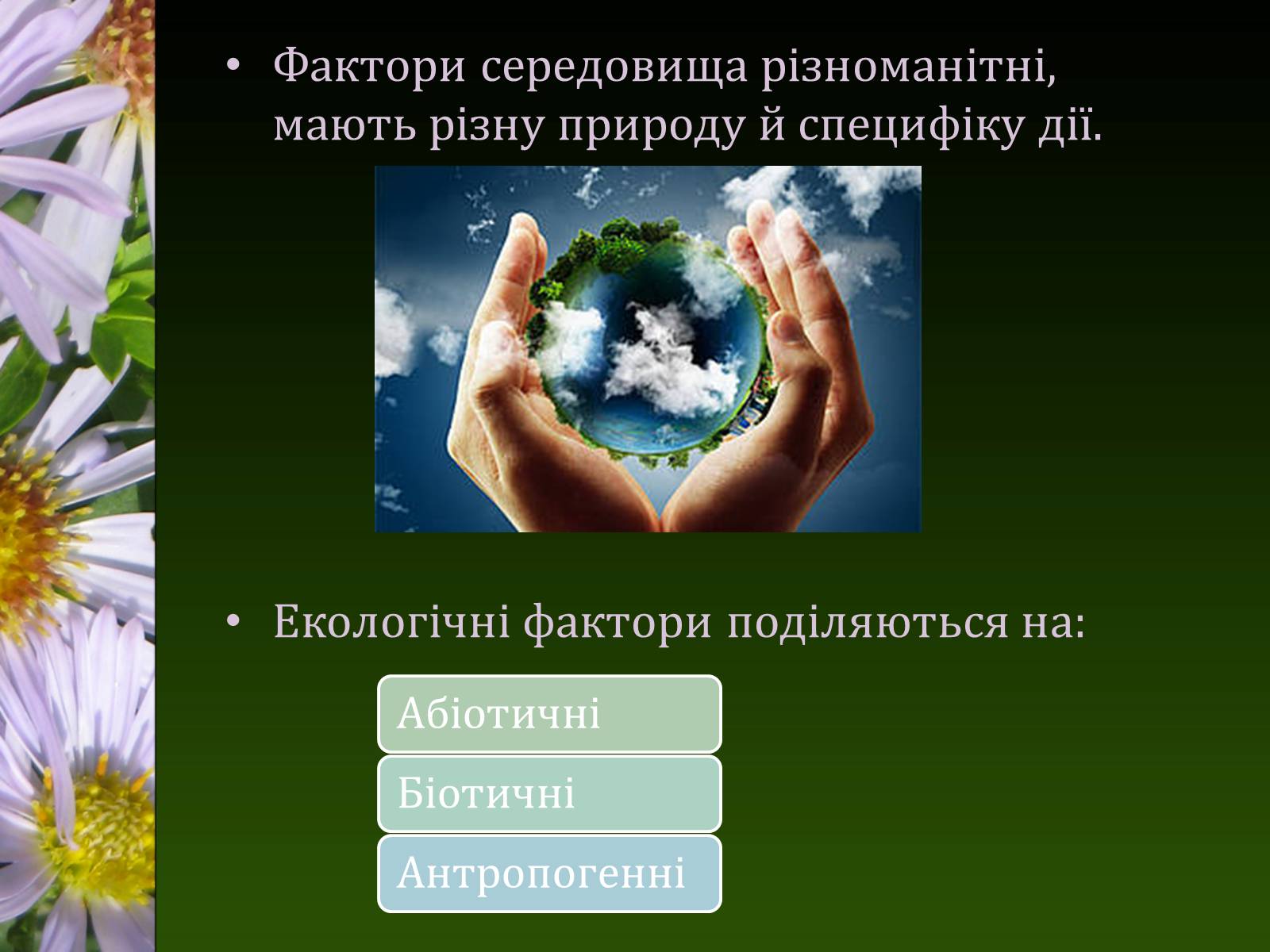 Презентація на тему «Екологічні чинники» (варіант 1) - Слайд #3