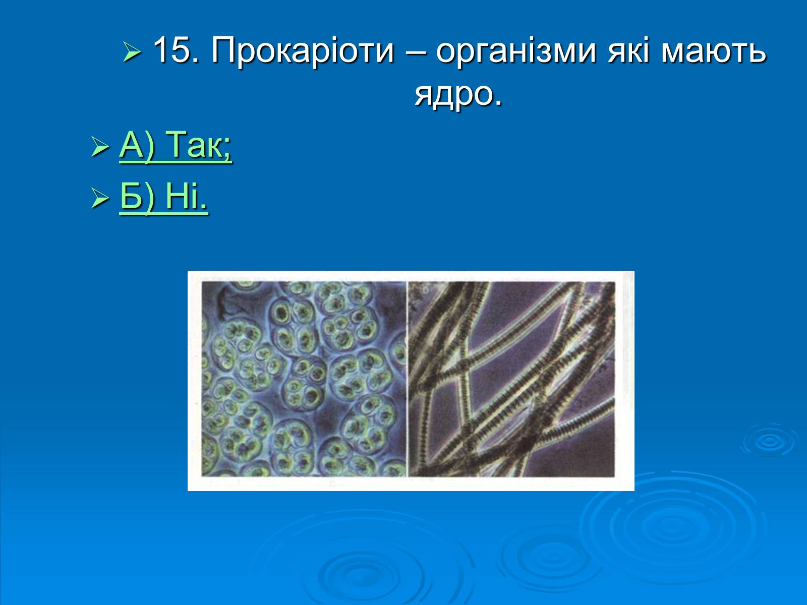 Презентація на тему «Біологія» (варіант 3) - Слайд #16