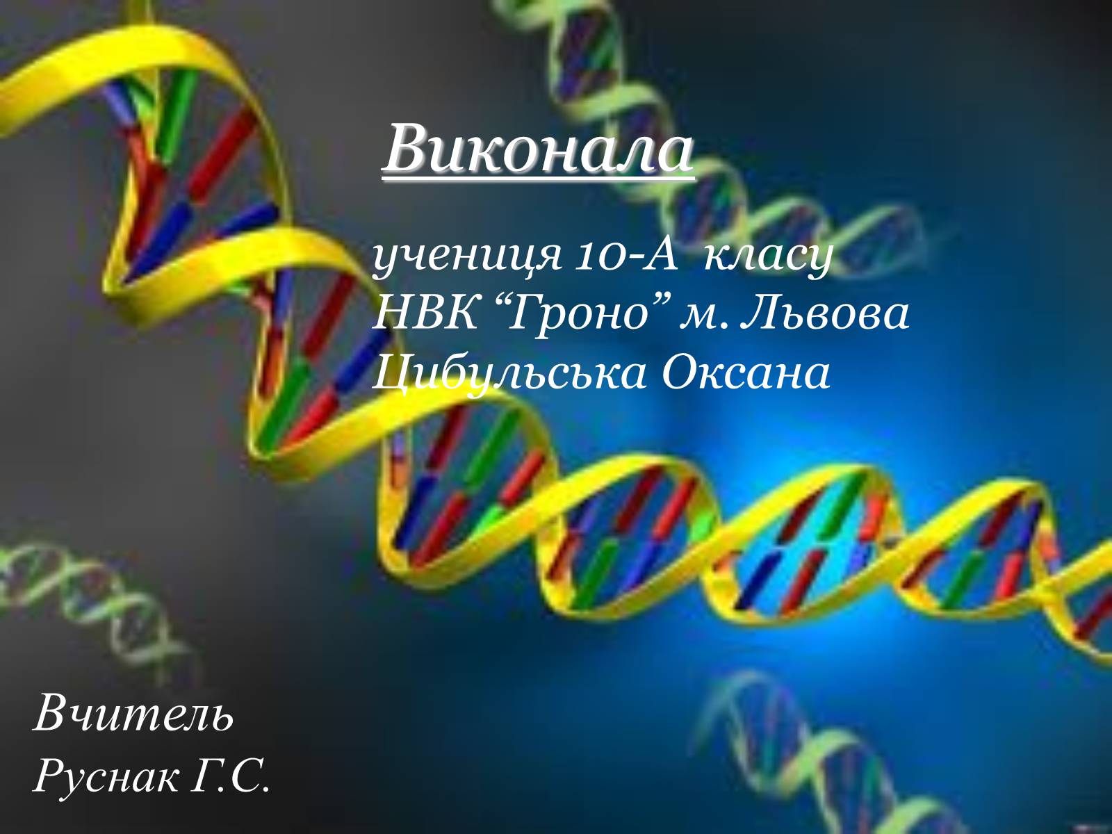 Презентація на тему «Будова, властивості та функції ДНК» - Слайд #13