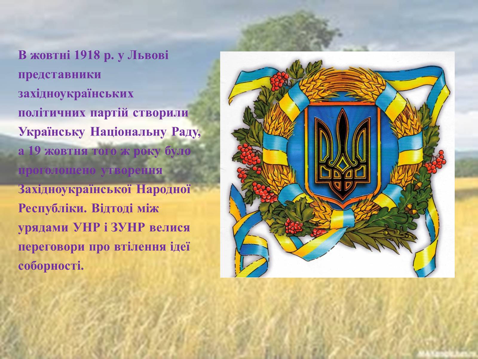 Презентація на тему «Соборна мати Україна – одна на всіх, як оберіг!» - Слайд #9