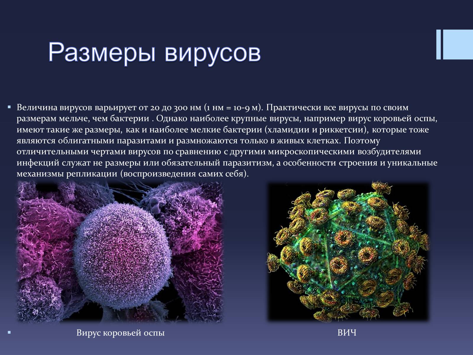 Презентація на тему «Вирусы — неклеточные формы жизни» - Слайд #4