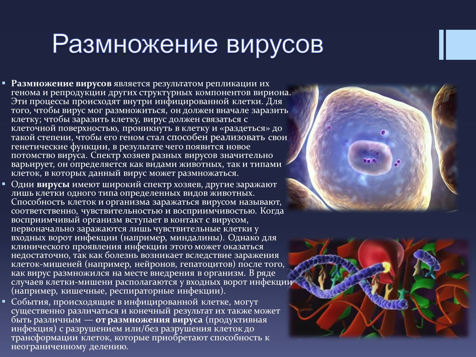 Презентація на тему «Вирусы — неклеточные формы жизни» - Слайд #5