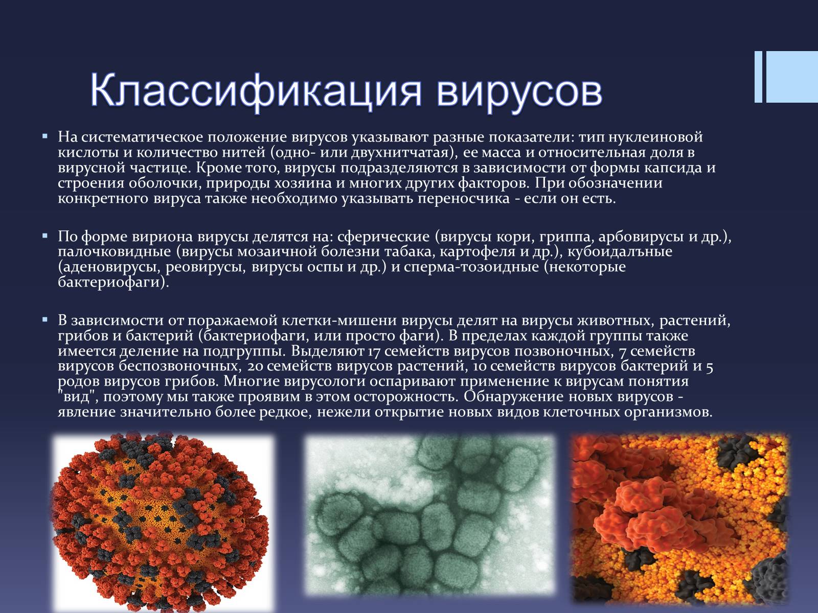 Презентація на тему «Вирусы — неклеточные формы жизни» - Слайд #7