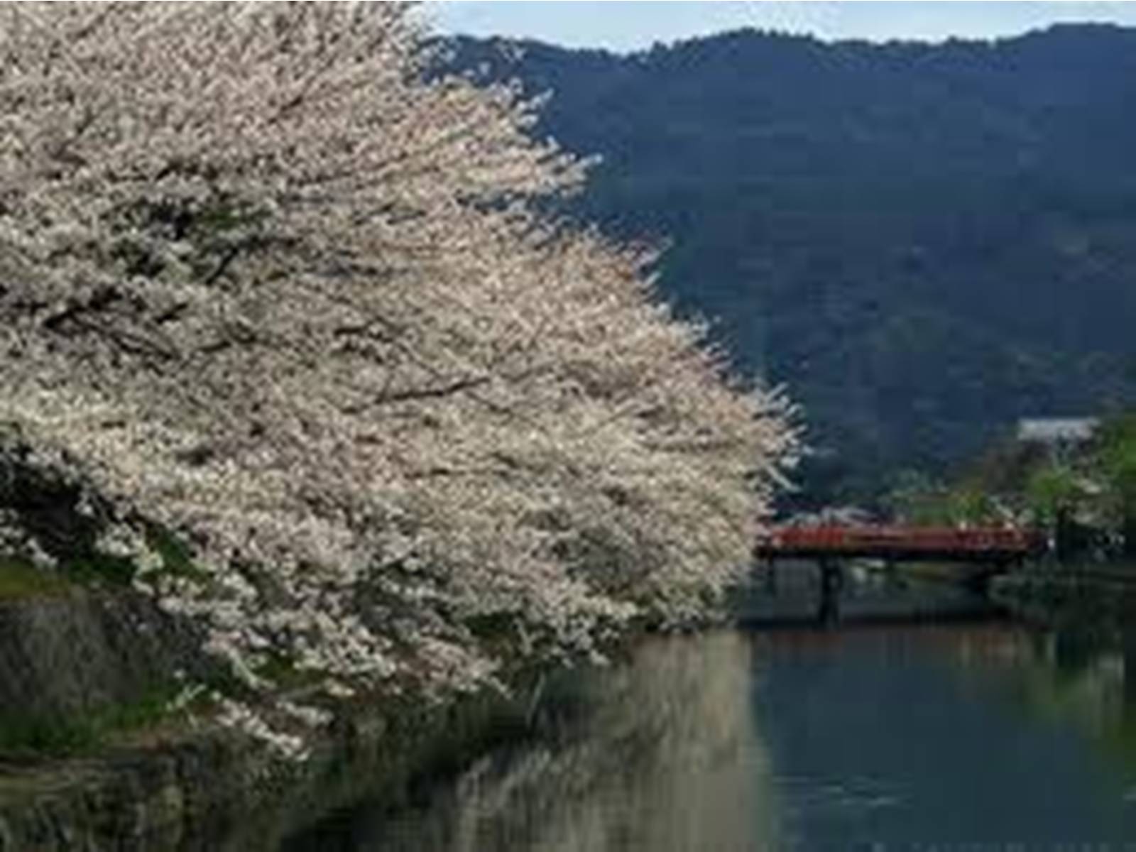 Презентація на тему «Японія – туристичний проспект» - Слайд #10