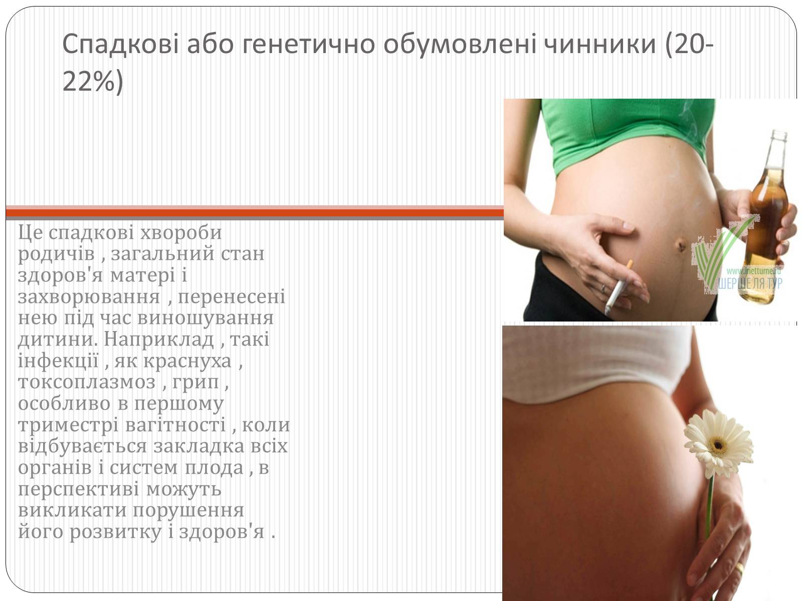 Презентація на тему «Вплив чинників на репродуктивне здоров’я людини» - Слайд #6