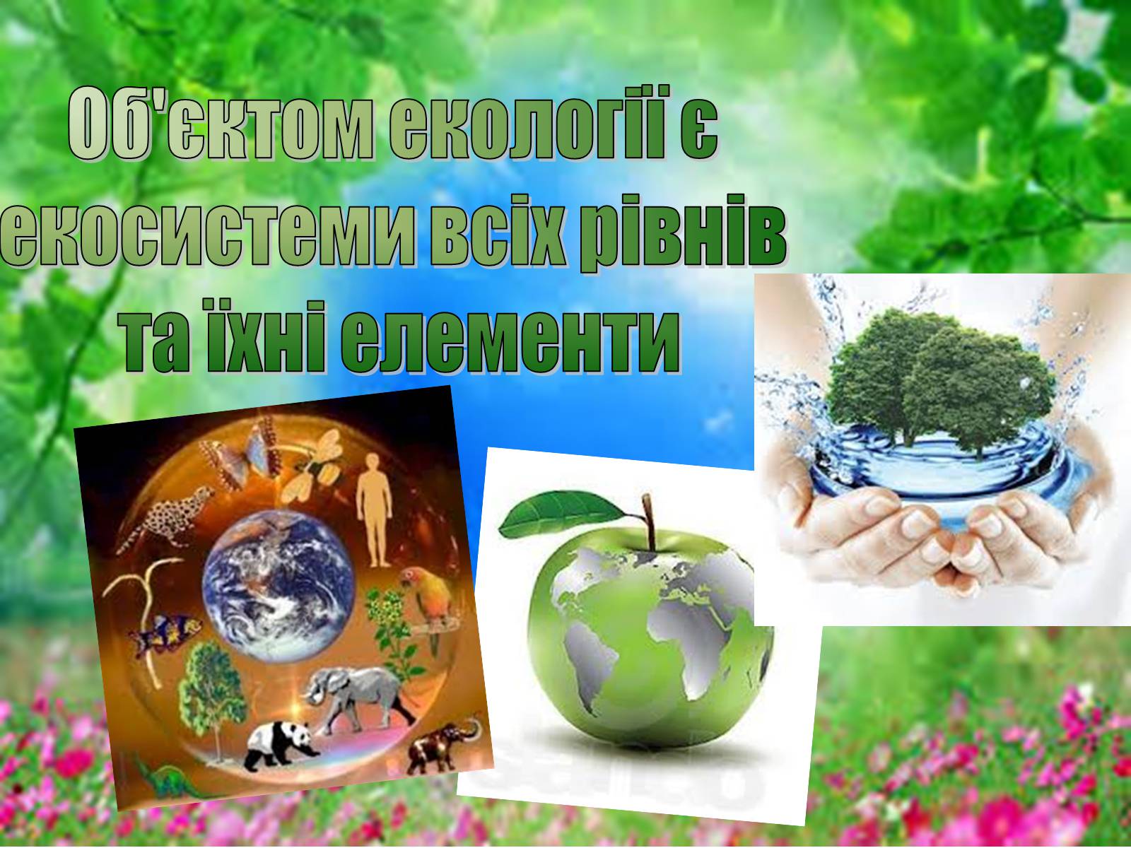 Презентація на тему «Основні поняття еколігії та її забруднення» - Слайд #5