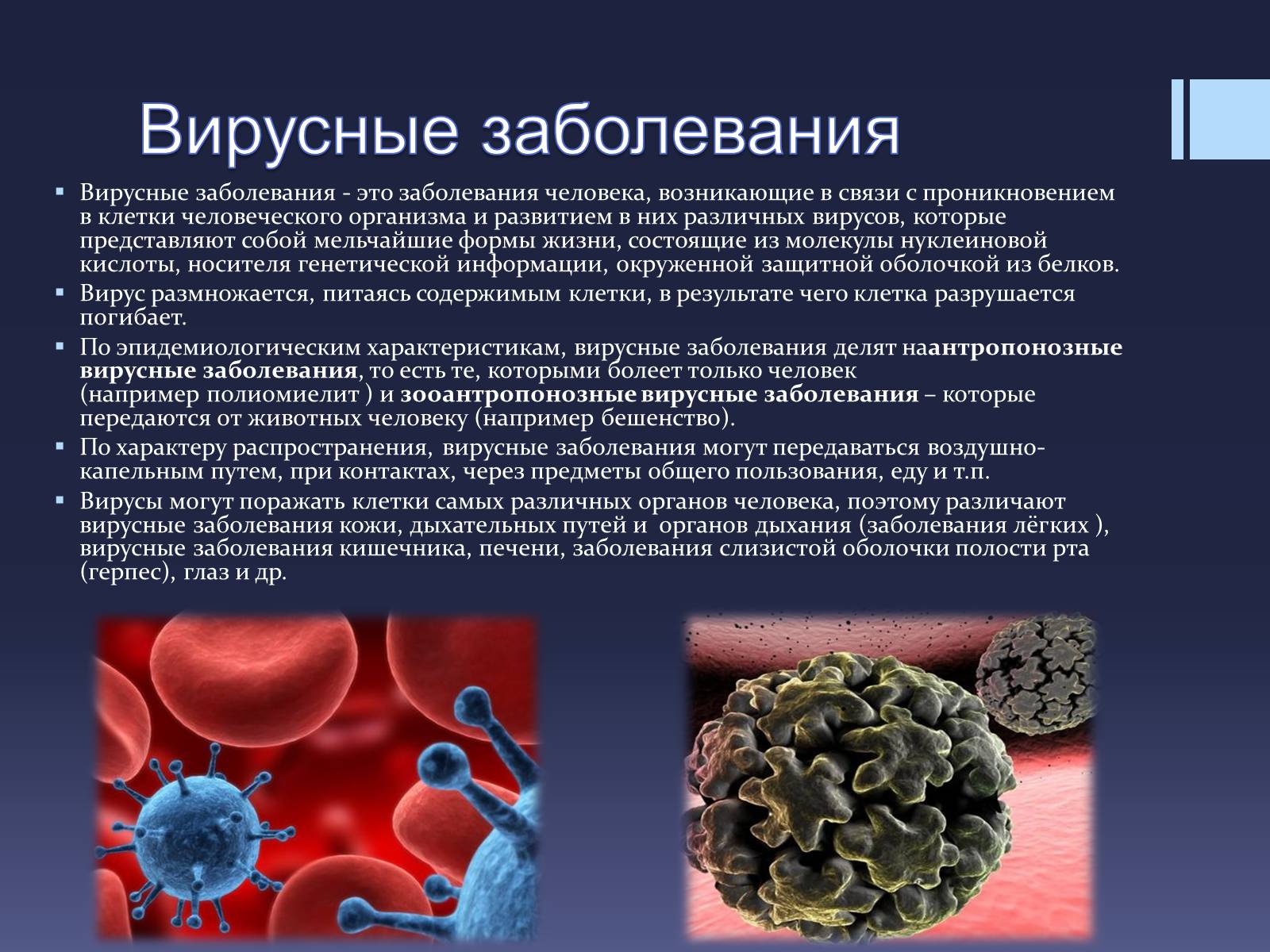 Презентація на тему «Вирусы — неклеточные формы жизни» - Слайд #8