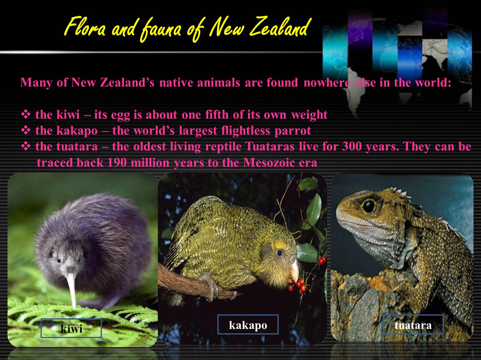 Презентація на тему «New Zealand» (варіант 6) - Слайд #9