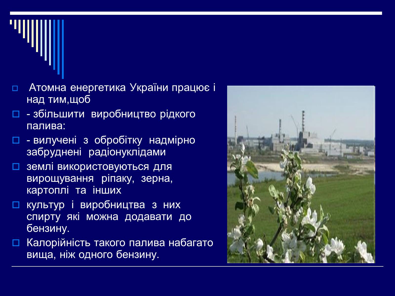 Презентація на тему «Ядерна енергетика в Україні» (варіант 1) - Слайд #13