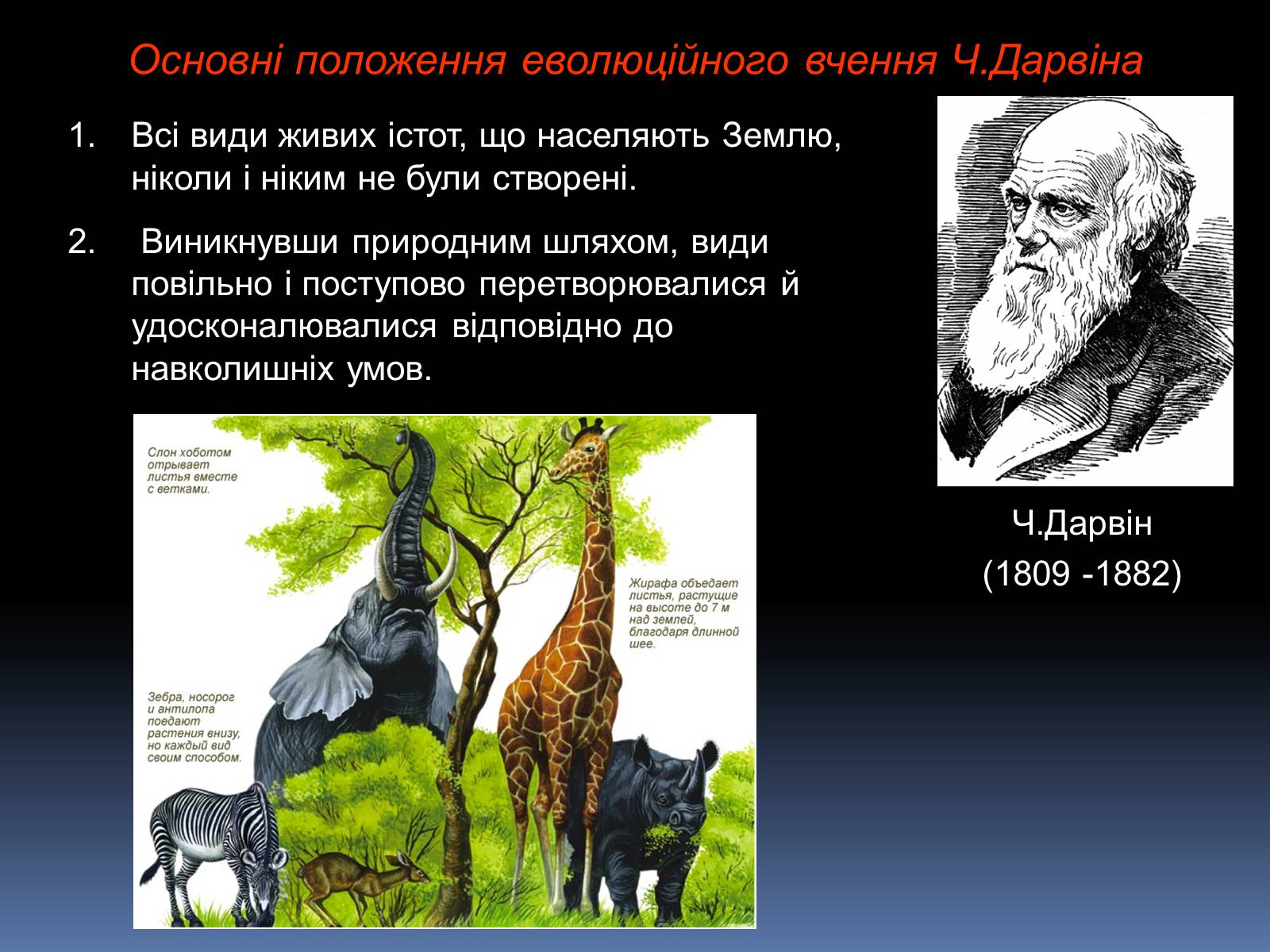Презентація на тему «Синтетична теорія еволюції» (варіант 1) - Слайд #2