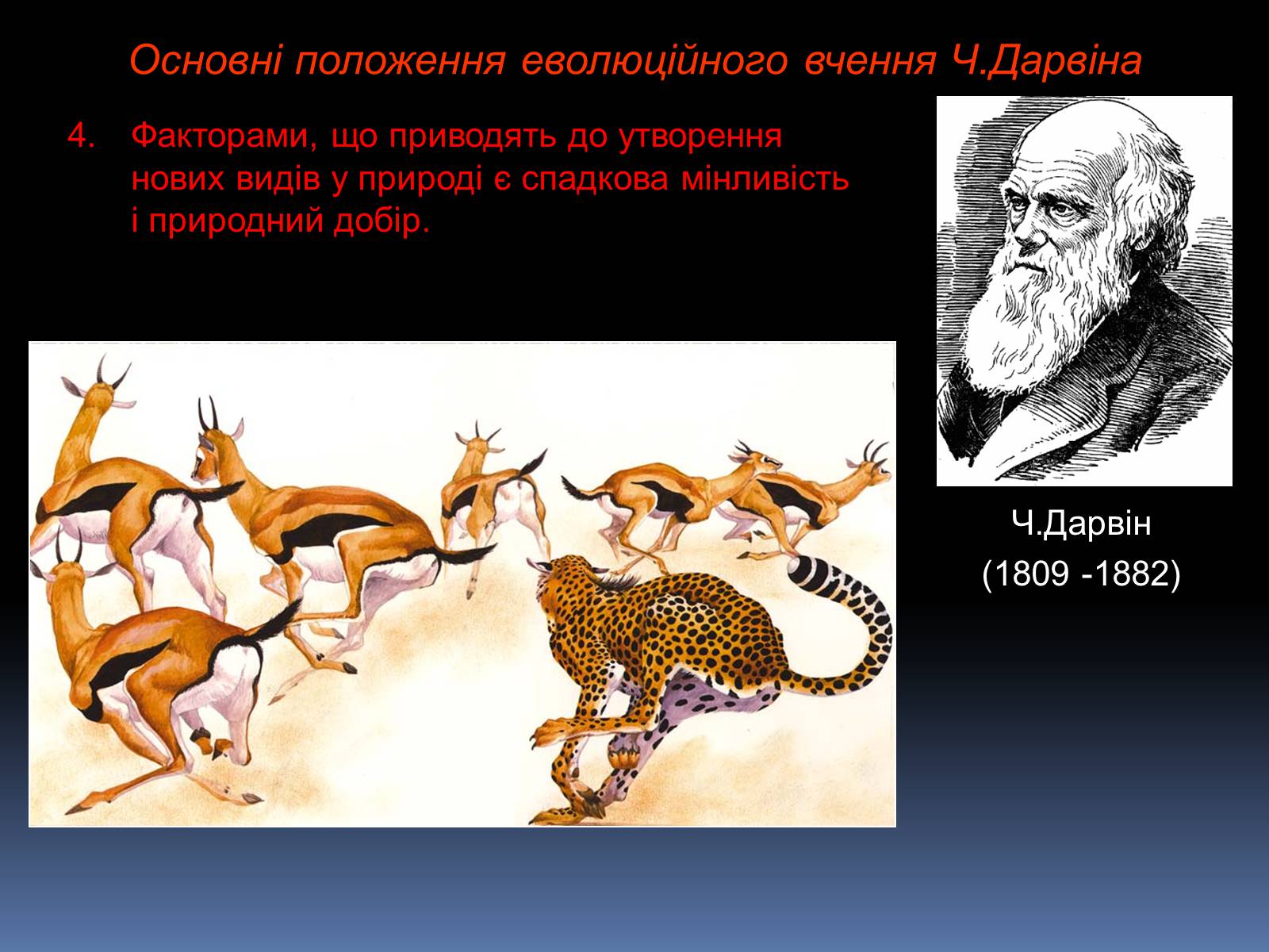 Презентація на тему «Синтетична теорія еволюції» (варіант 1) - Слайд #4