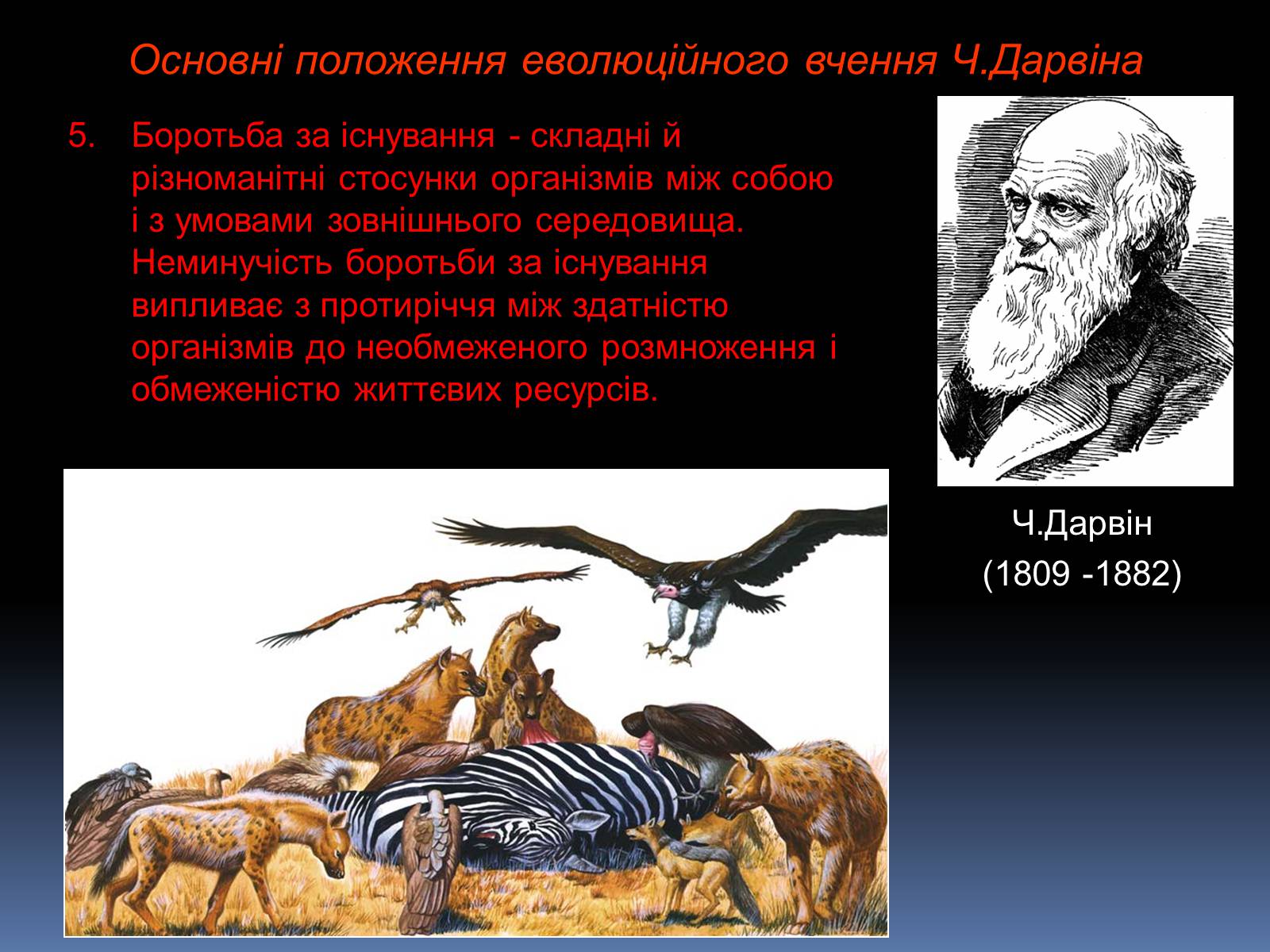 Презентація на тему «Синтетична теорія еволюції» (варіант 1) - Слайд #5