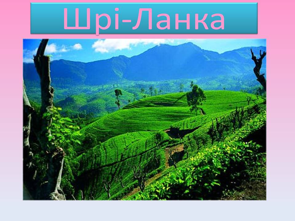Презентація на тему «Шрі-Ланка» (варіант 4) - Слайд #7