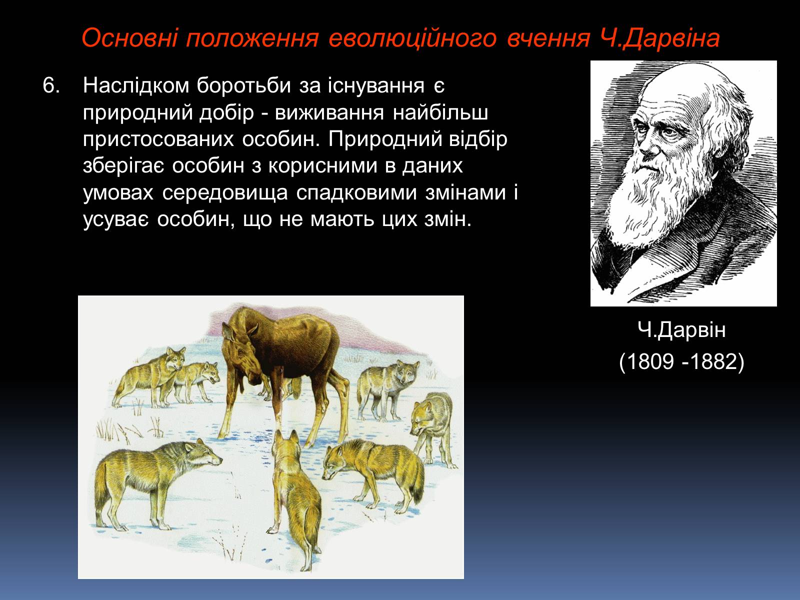 Презентація на тему «Синтетична теорія еволюції» (варіант 1) - Слайд #6