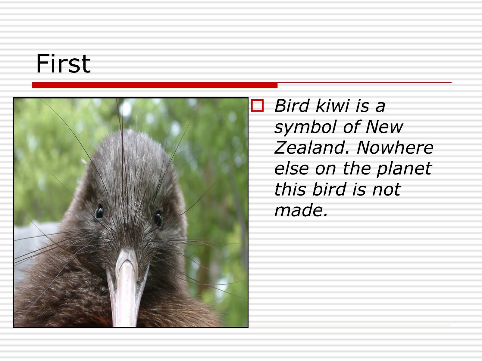 Презентація на тему «New Zealand» (варіант 4) - Слайд #3