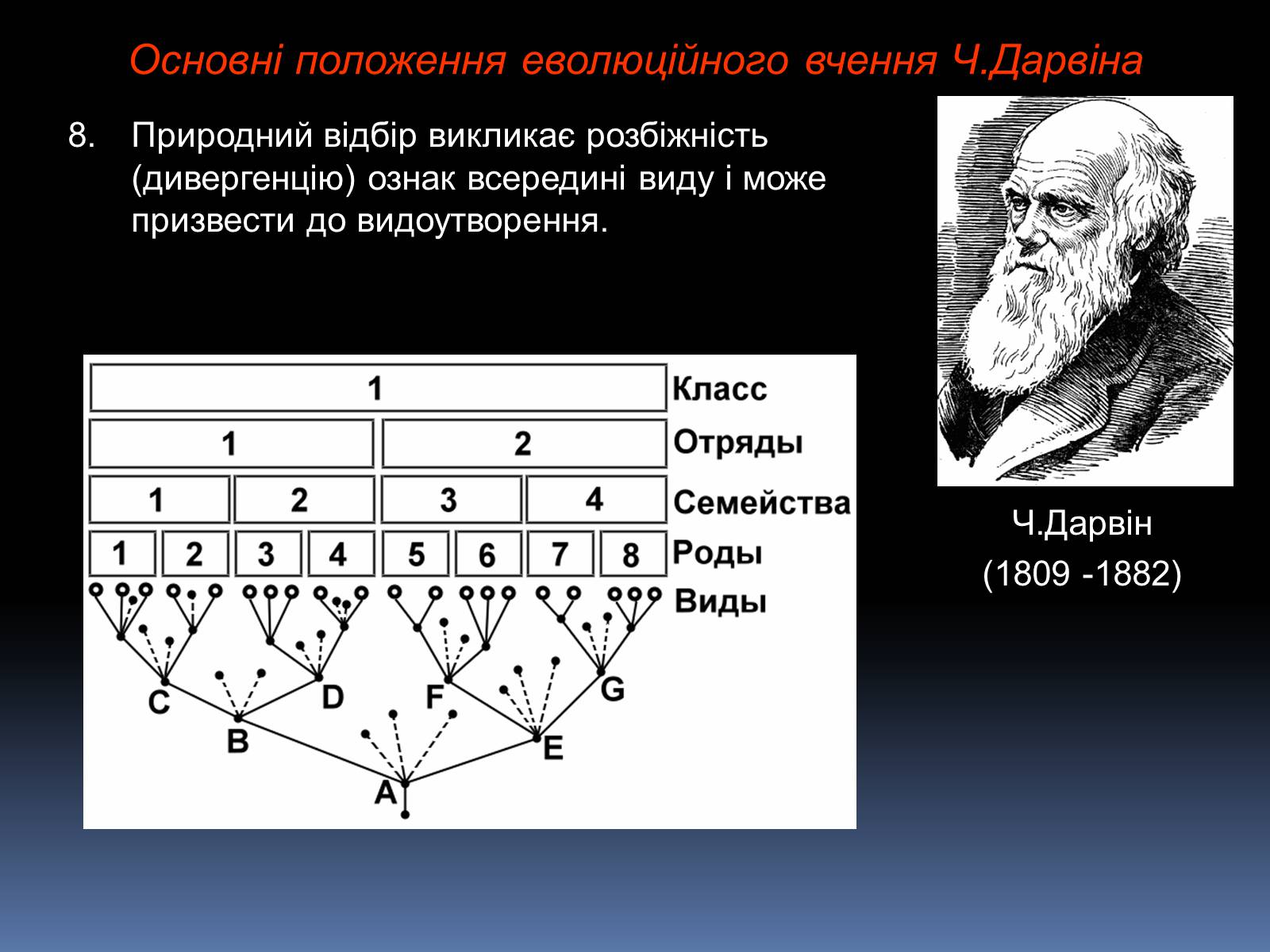 Презентація на тему «Синтетична теорія еволюції» (варіант 1) - Слайд #8