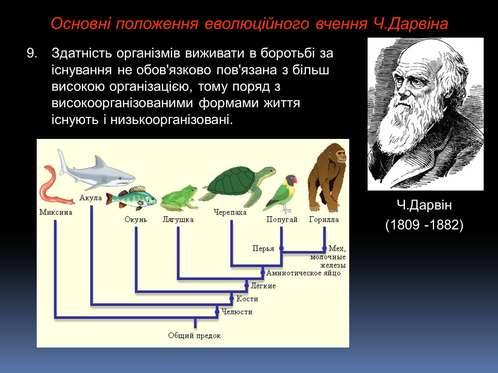 Презентація на тему «Синтетична теорія еволюції» (варіант 1) - Слайд #9
