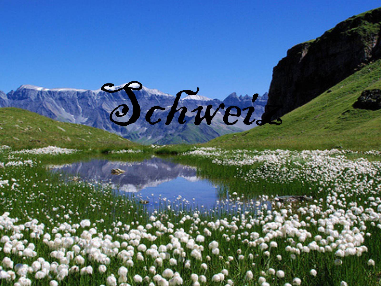 Презентація на тему «Schweiz» - Слайд #1