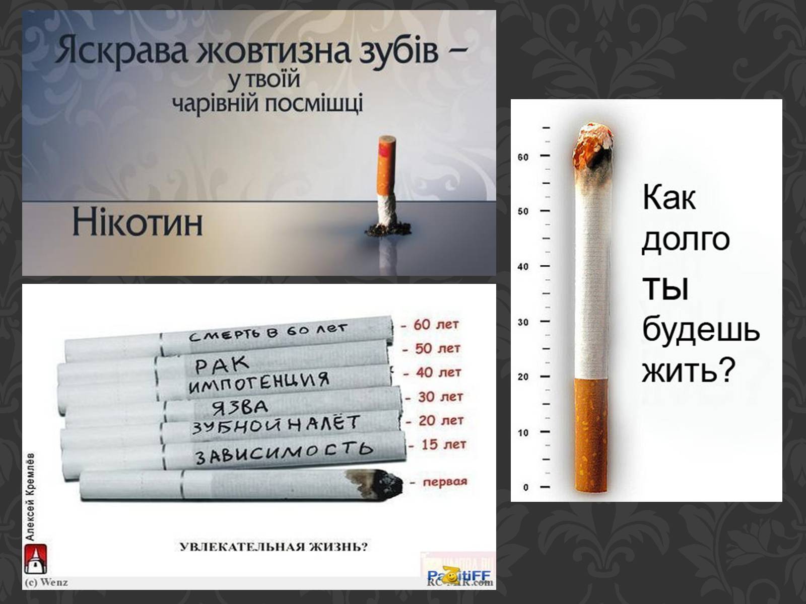 Презентація на тему «Вплив паління на організм людини» - Слайд #23