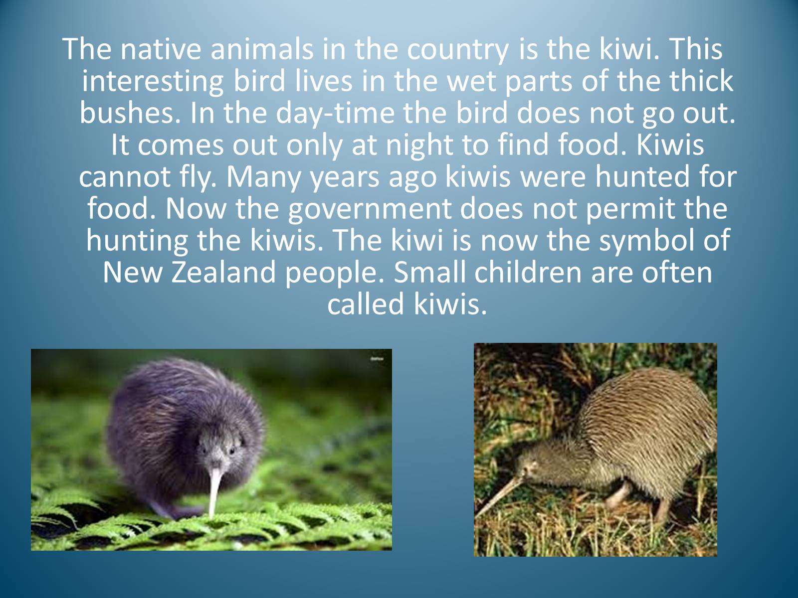 Презентація на тему «New Zealand» (варіант 5) - Слайд #7