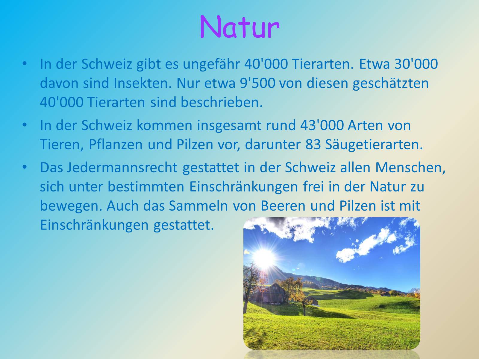 Презентація на тему «Schweiz» - Слайд #7