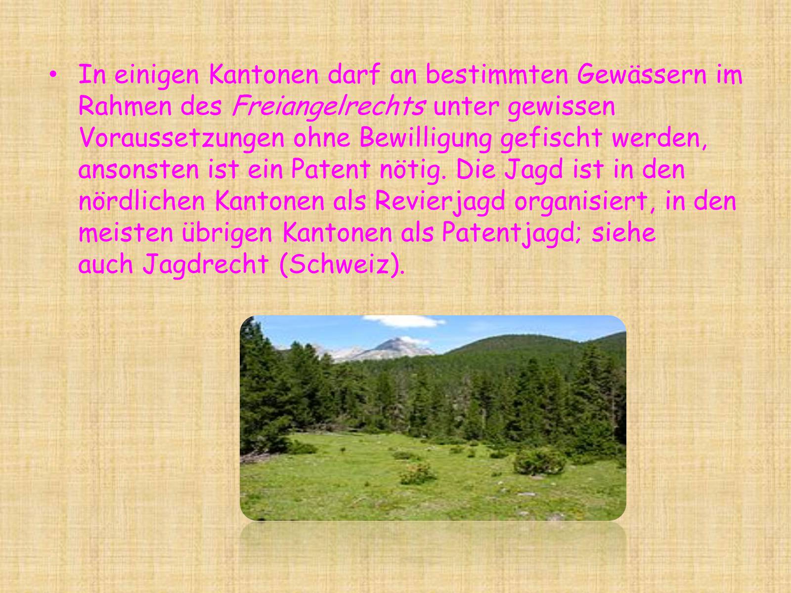 Презентація на тему «Schweiz» - Слайд #8