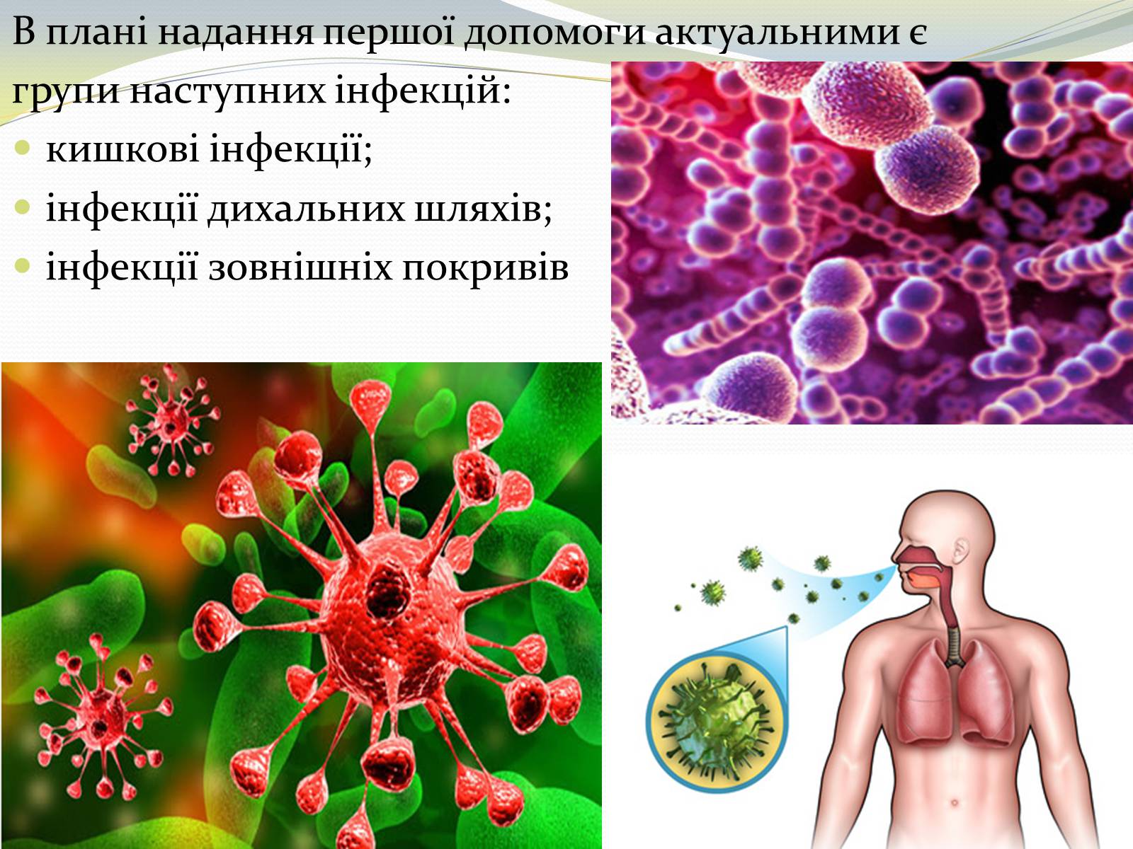 Презентація на тему «Інфекційні захворювання» (варіант 8) - Слайд #5
