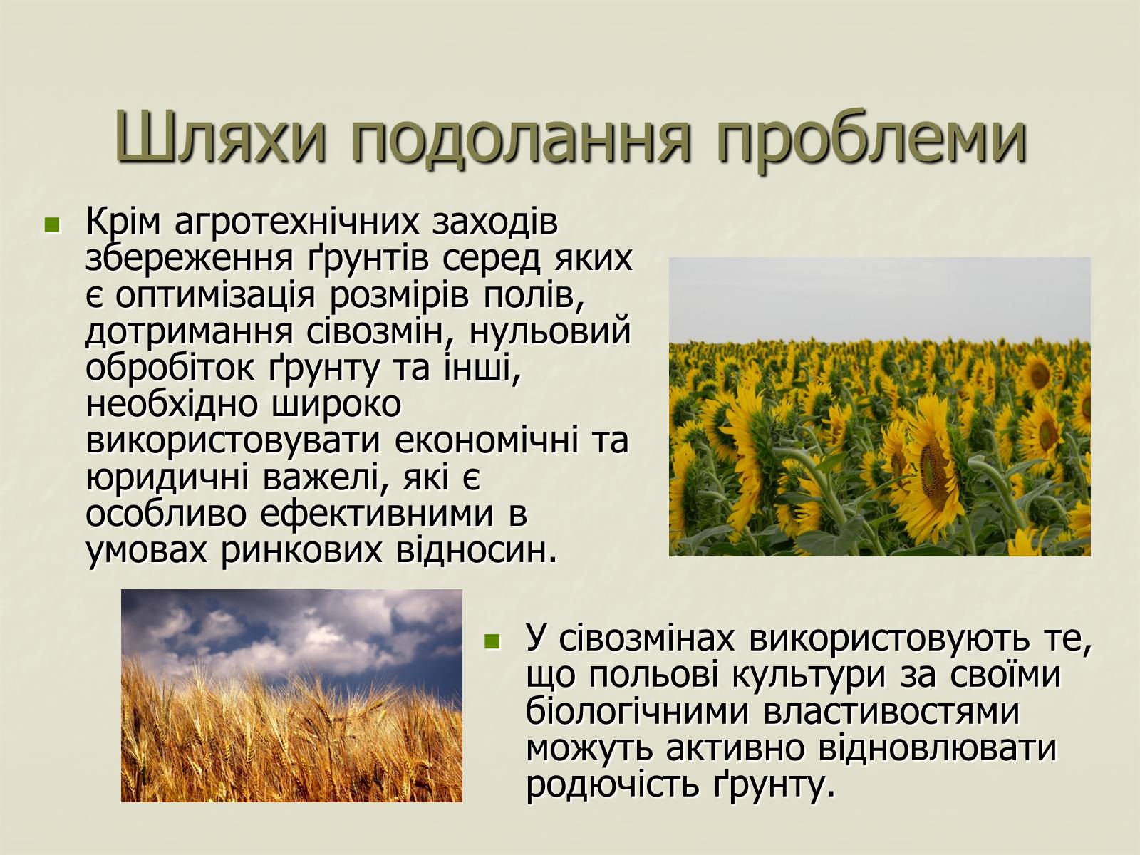 Презентація на тему «Деградація природи. Деградація ґрунтів» - Слайд #12