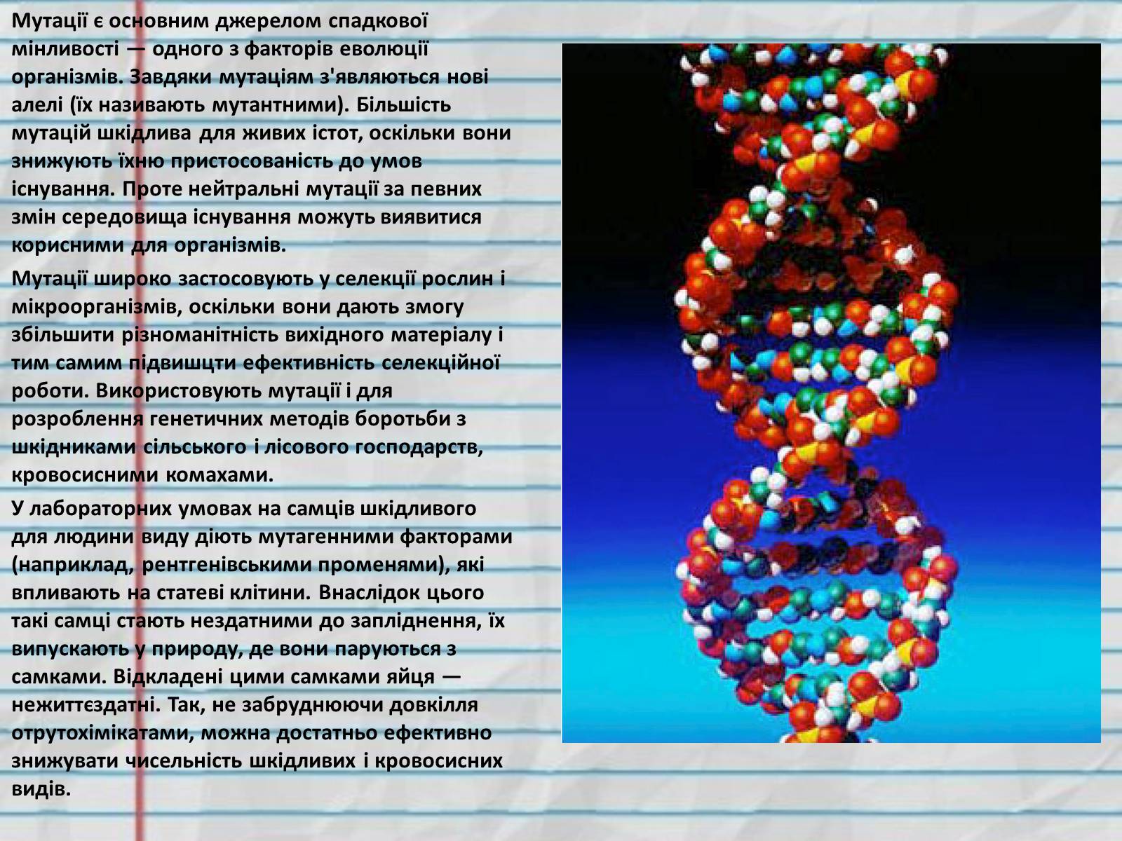 Презентація на тему «Причини мутацій. Модифікаційна мінливість» - Слайд #8