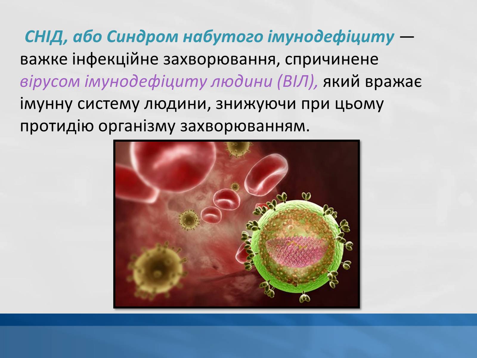 Презентація на тему «ВІЛ. СНІД. інфекції ІПСШ: шляхи передачі і методи захисту» (варіант 11) - Слайд #2
