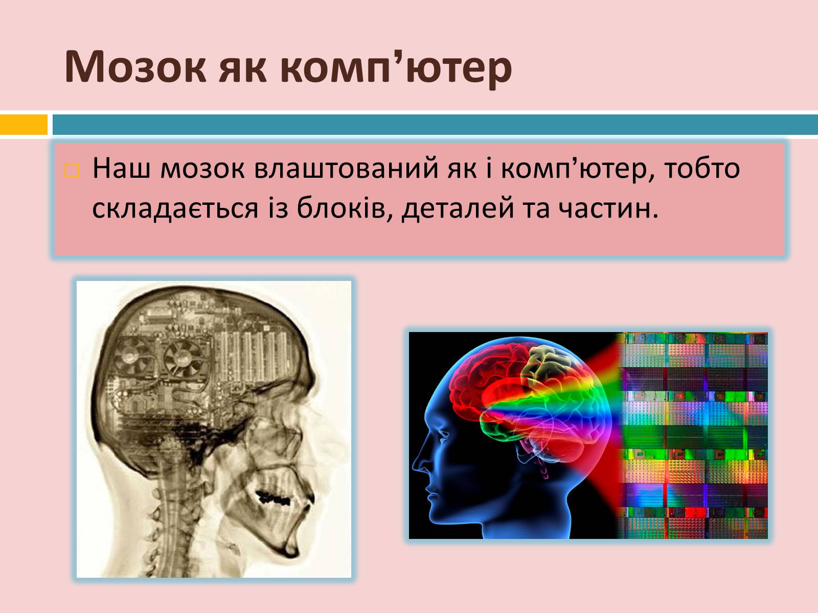Презентація на тему «Головний мозок» (варіант 2) - Слайд #29