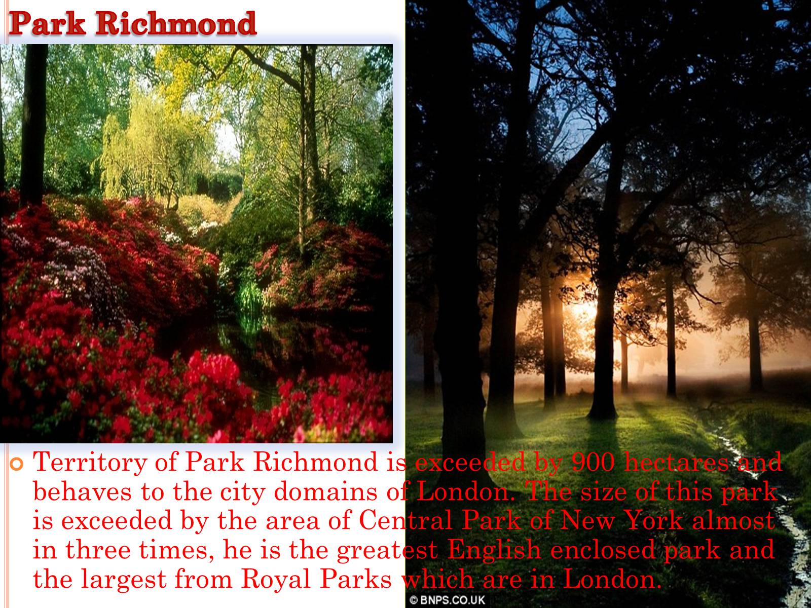 Презентація на тему «Parks and gardens in England» - Слайд #5