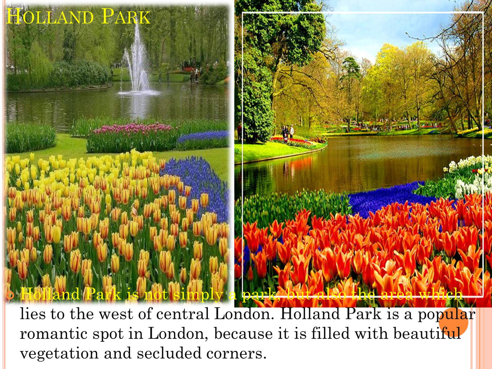Презентація на тему «Parks and gardens in England» - Слайд #8