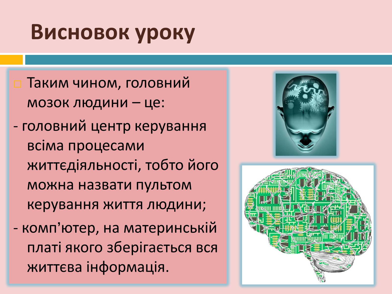 Презентація на тему «Головний мозок» (варіант 2) - Слайд #35
