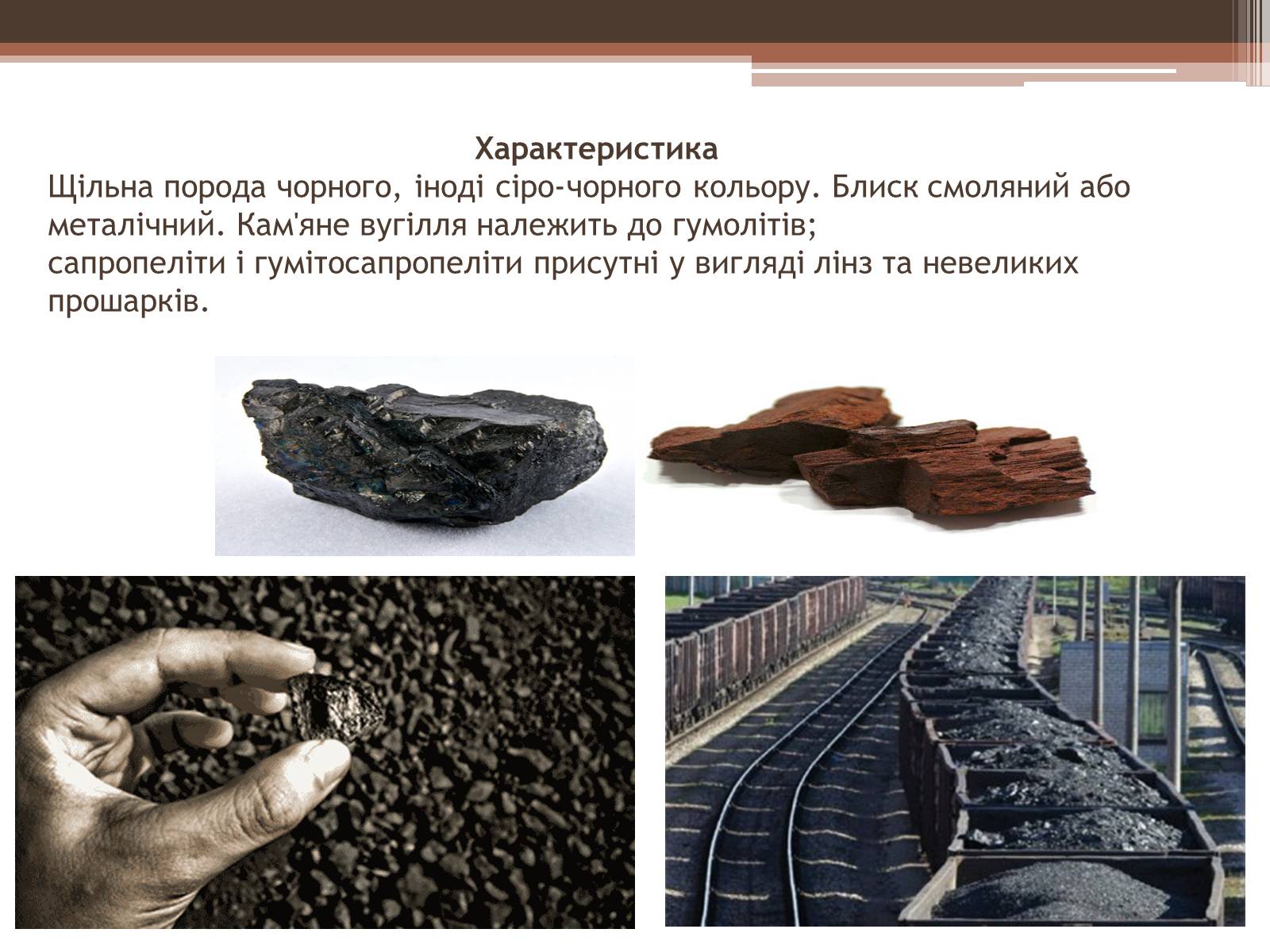 Презентація на тему «Кам*яне вугілля» (варіант 6) - Слайд #3