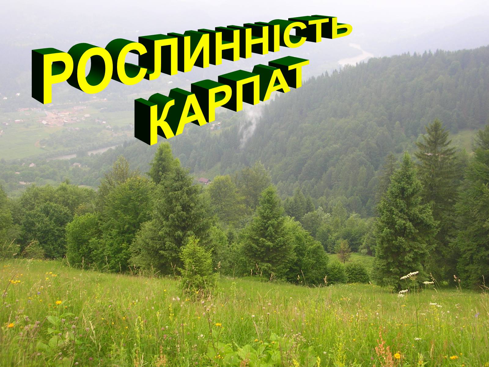 Презентація на тему «Українські Карпати» (варіант 5) - Слайд #16