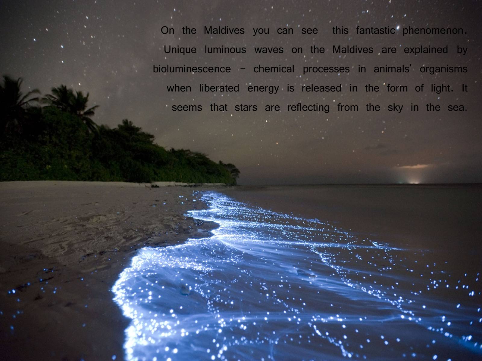 Презентація на тему «Paradise on the Earth. The Maldives» - Слайд #6