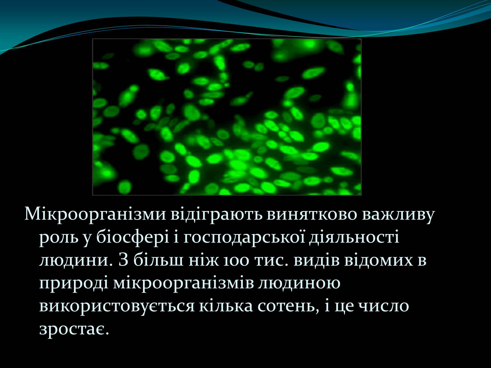 Презентація на тему «Мікроорганізми» - Слайд #2