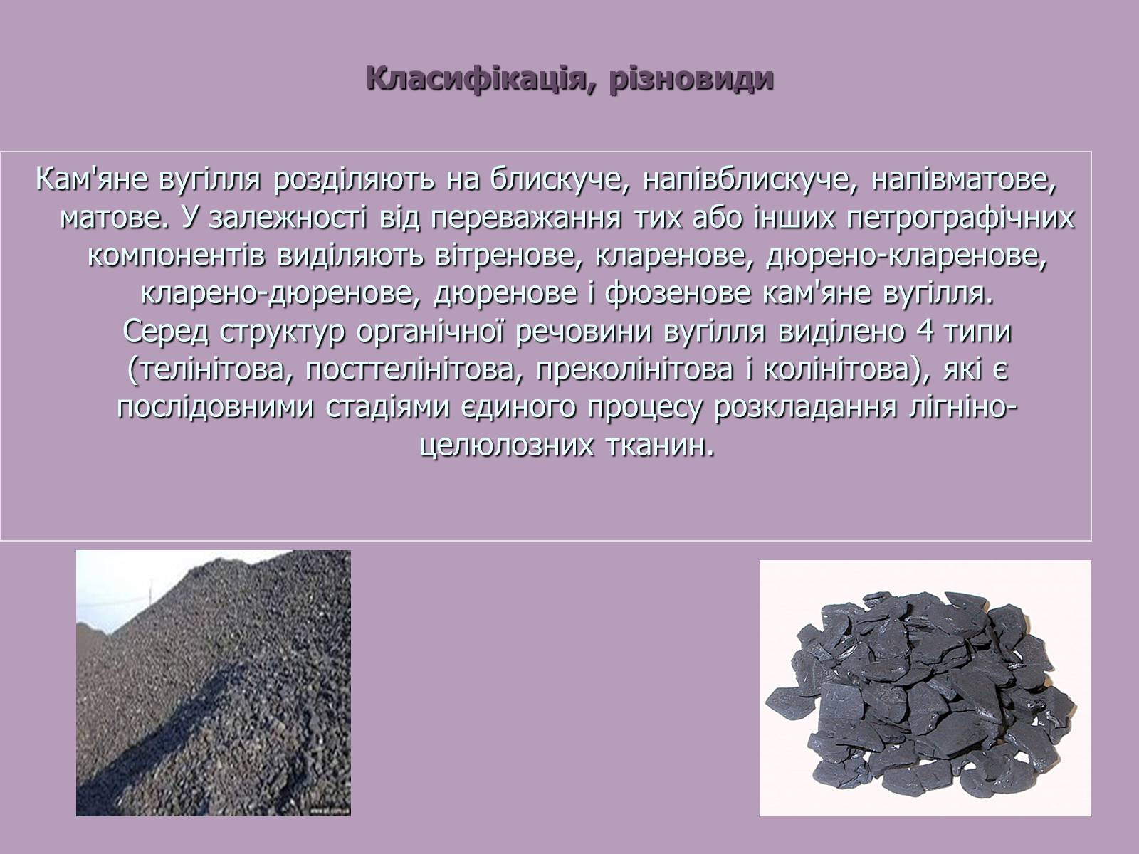 Презентація на тему «Кам’яне вугілля» (варіант 8) - Слайд #8