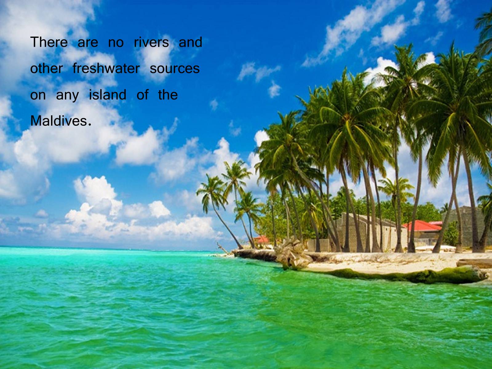 Презентація на тему «Paradise on the Earth. The Maldives» - Слайд #10