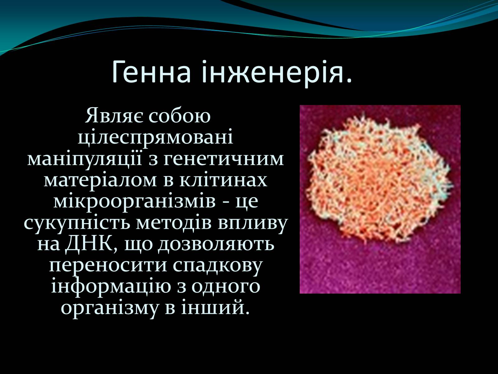 Презентація на тему «Мікроорганізми» - Слайд #7