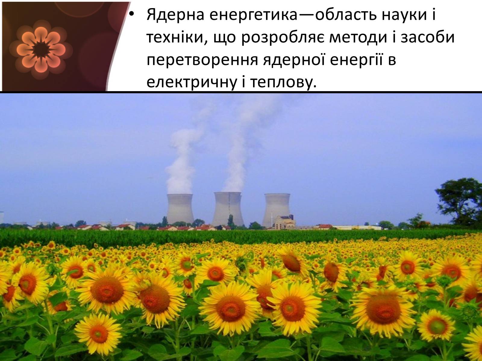 Презентація на тему «Ядерна енергетика і екологія» - Слайд #2