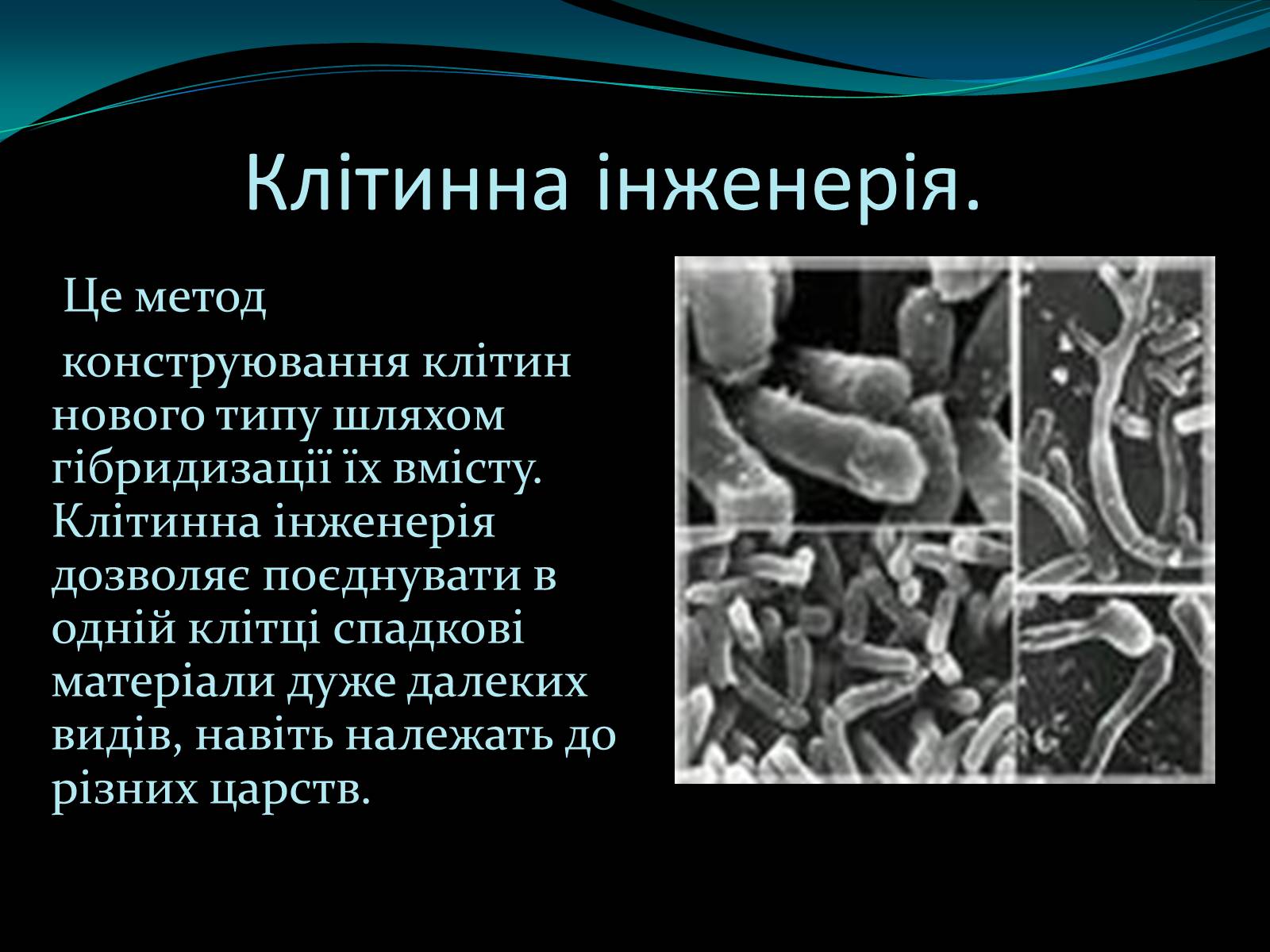 Презентація на тему «Мікроорганізми» - Слайд #9