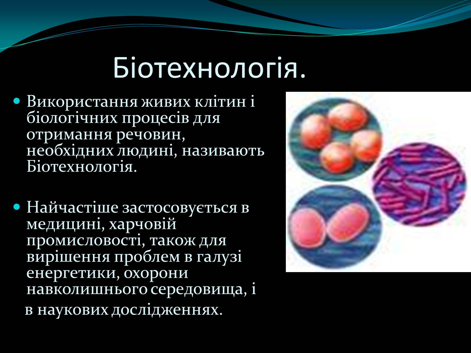 Презентація на тему «Мікроорганізми» - Слайд #10