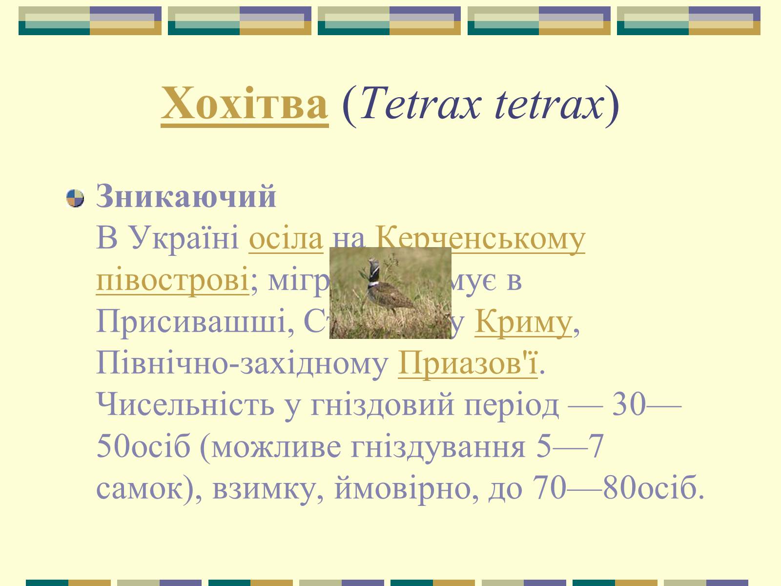 Презентація на тему «Червона книга України» (варіант 11) - Слайд #55